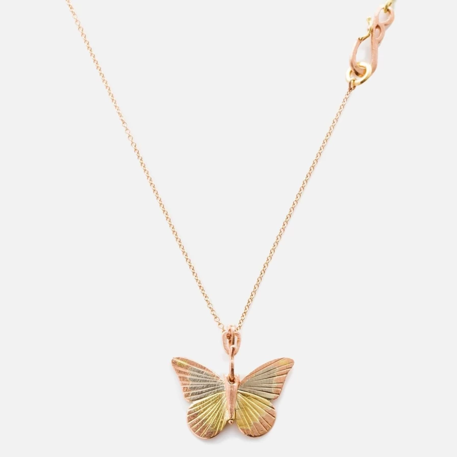 18K White Gold Chocolate Albatross Necklace by James Banks Design