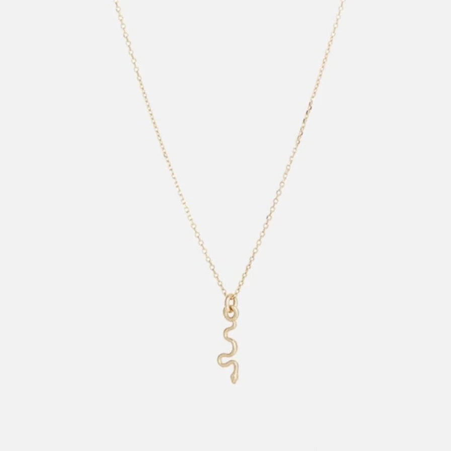 Talon Jewelry Tiny Snake Charm Necklace - Dainty & Elegant Itty Bitty Pendant